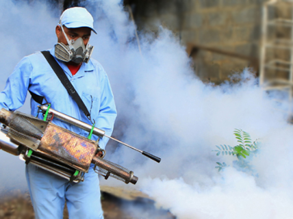 Комплексная фумигация химическими и термическими методами